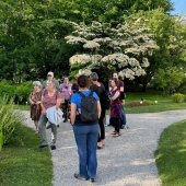 Alumni Treffpunkt: Spezialführung Heilpflanzen im Botanischen Garten der Universität Wien